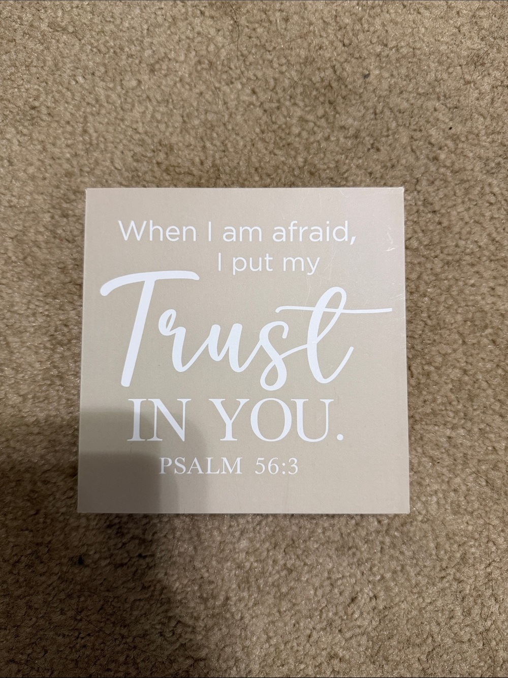 Beige "Trust in You" Wall Decor Sign - Inspirational Psalm 56:3